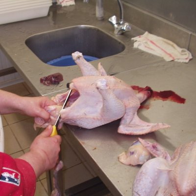 Evisceration